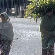 Women carrying basket