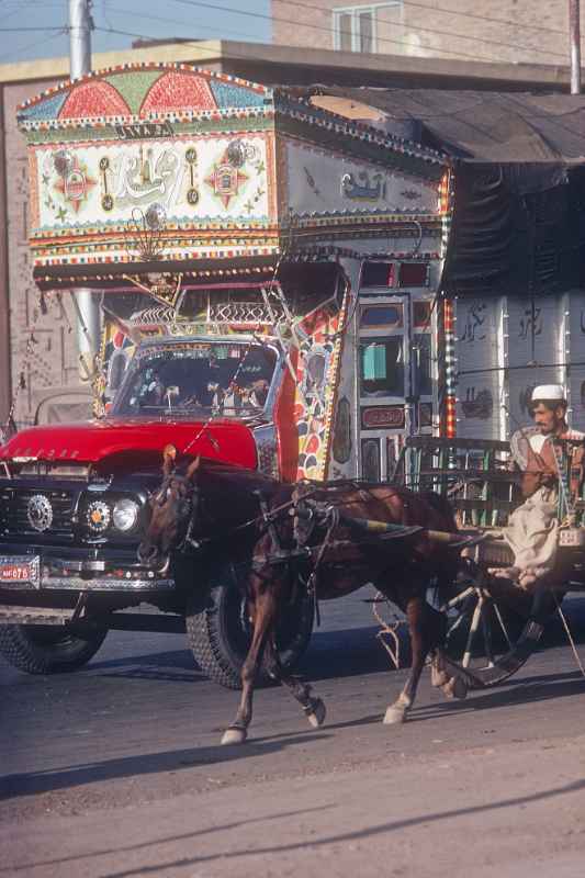 Truck and tonga