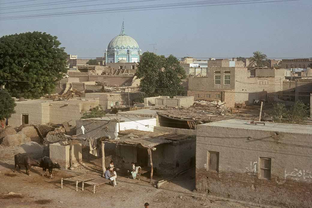 View, Dera Nawab Sahib