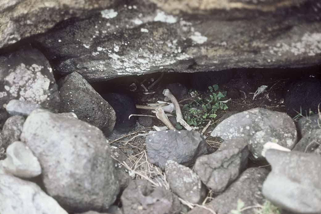 Bones in tomb, Ahu Akahanga