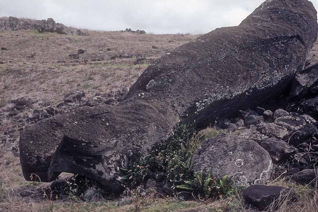 Toppled moai, Ahu Akahanga