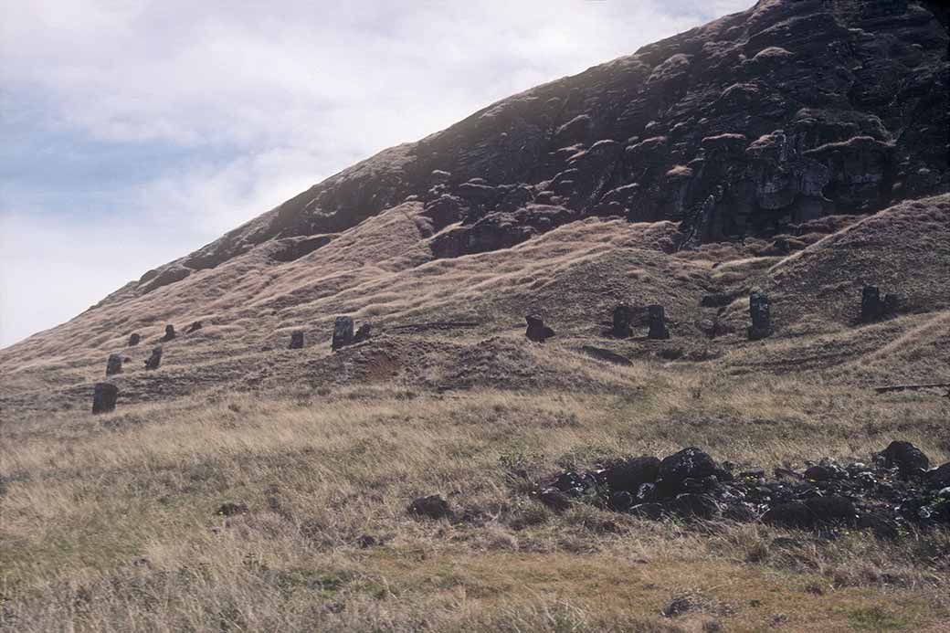 Slope of Rano Raraku