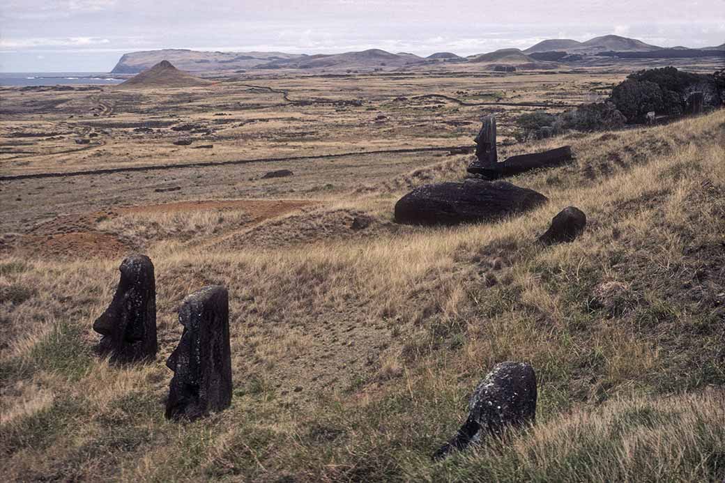 Partially buried moais, Rano Raraku