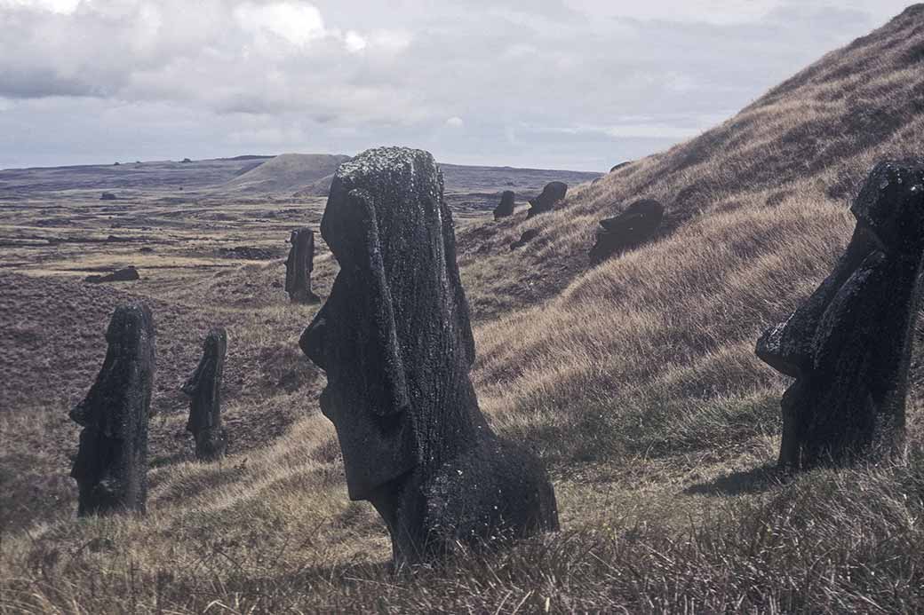 Moai, Rano Raraku