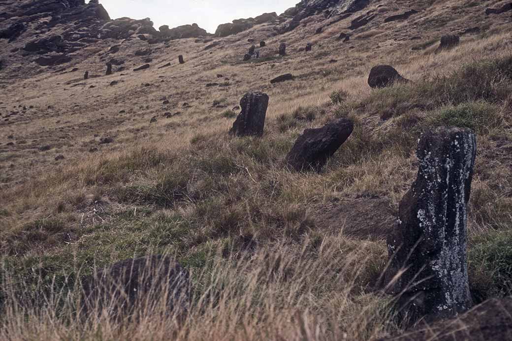 Partially buried moais, Rano Raraku