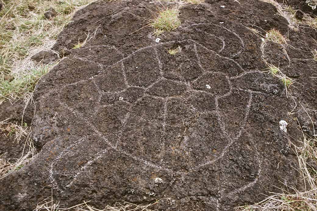 Sea turtle petroglyph, Papa Vaka