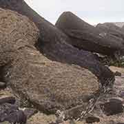 Toppled statues, Ahu Akahanga