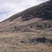 Slope of Rano Raraku