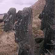 Moai, partially buried, Rano Raraku