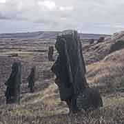 Moai, Rano Raraku