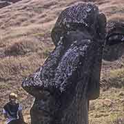 Head of a moai, Rano Raraku