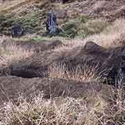 Incomplete moai, Rano Raraku