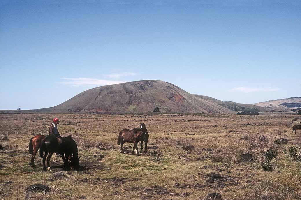 Landscape with horses