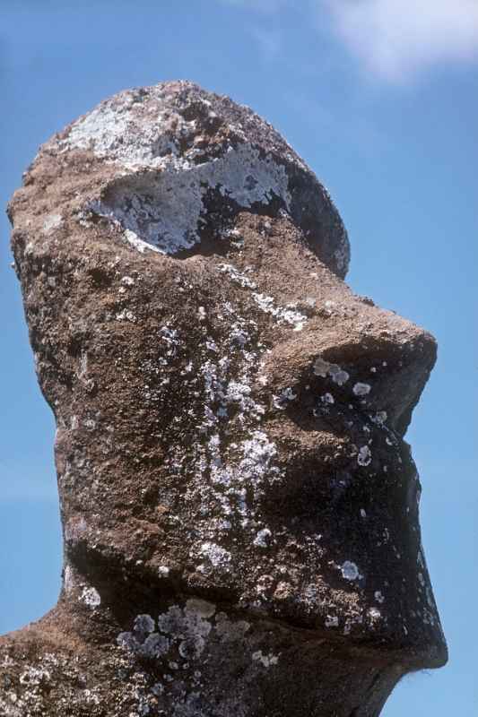 Head of moai, Ahu Akivi