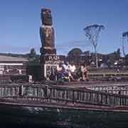 Plaza Hotumatua with moai