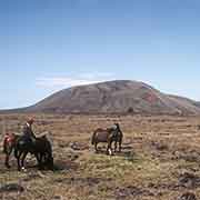 Landscape with horses