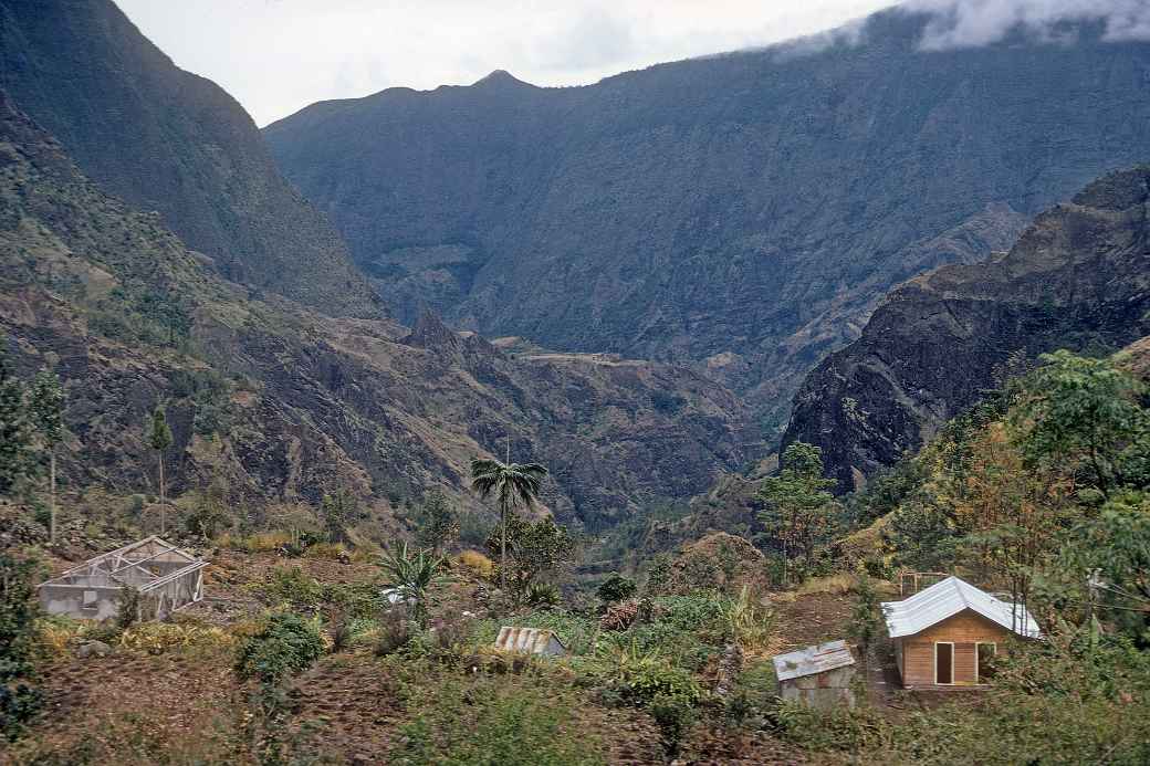 Valley, Le Palmiste Rouge