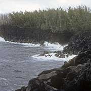 Coast at Grand Brûlé