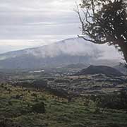 View, Plaine des Cafres