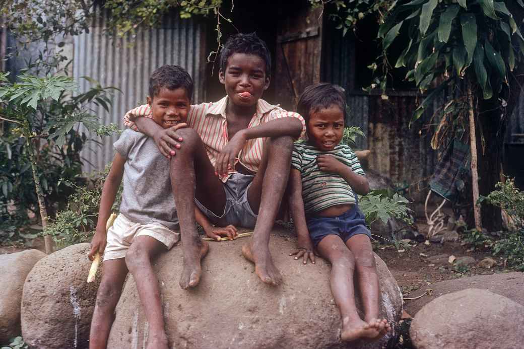 Creole boys, Saint-Louis