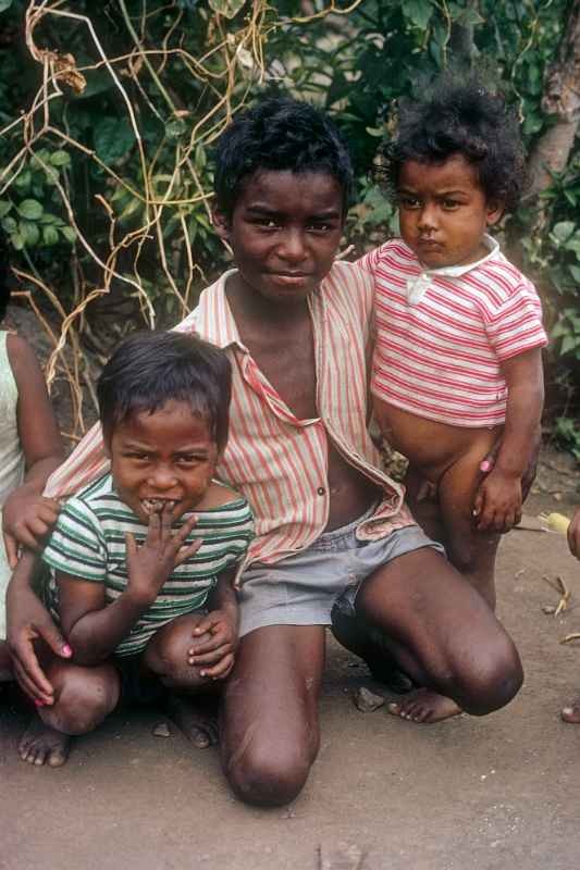 Creole boys, Saint-Louis