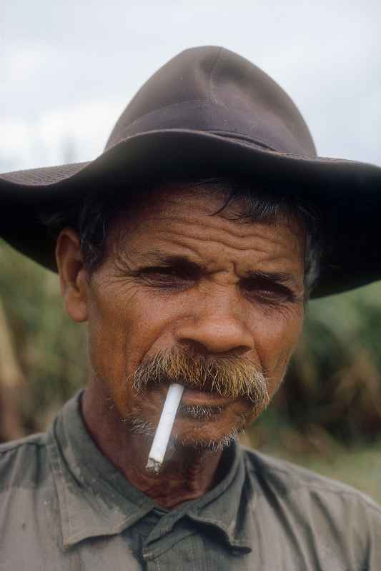 Sugar cane farmer