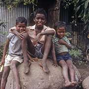 Creole boys, Saint-Louis