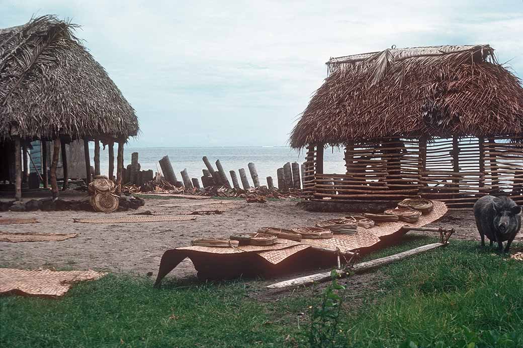 Fales and canoe, Pu'e