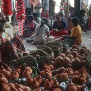 Selling coconuts