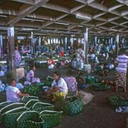 Palm leaf baskets