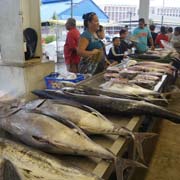 At the fish market