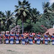 Samoan siva