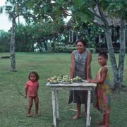 Selling mangoes