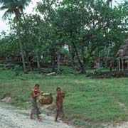 Carrying breadfruit