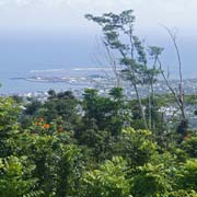 Apia from Vailima