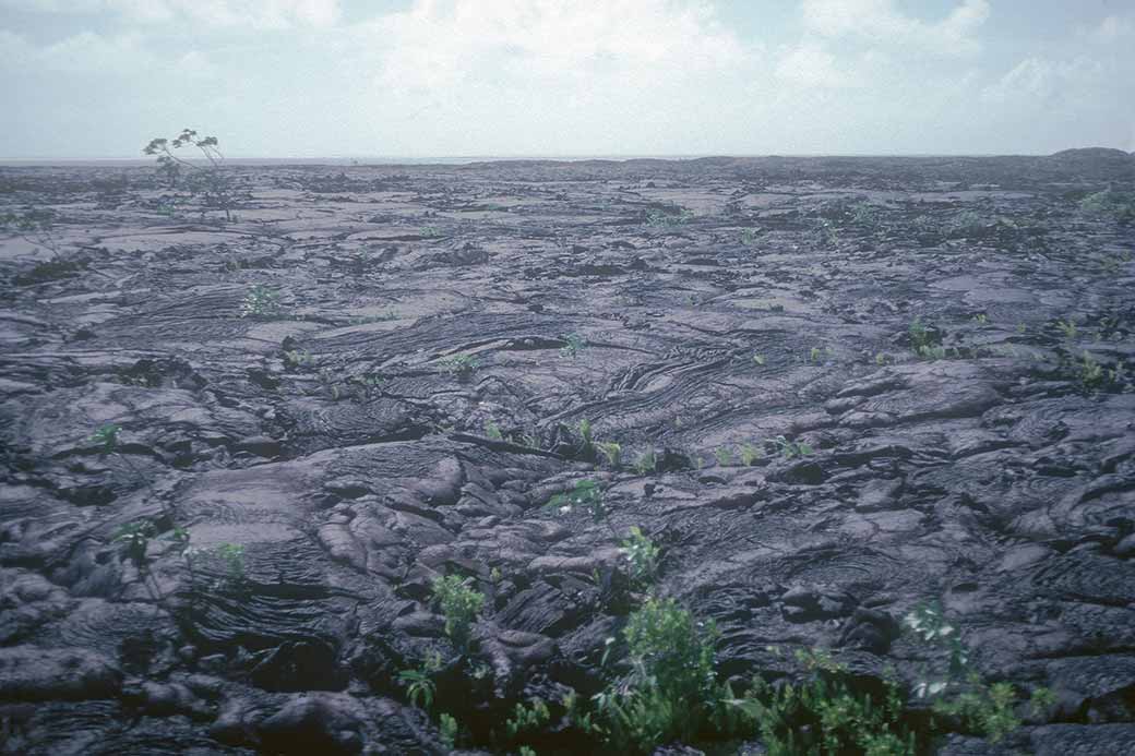 Lava field, Sale'aula