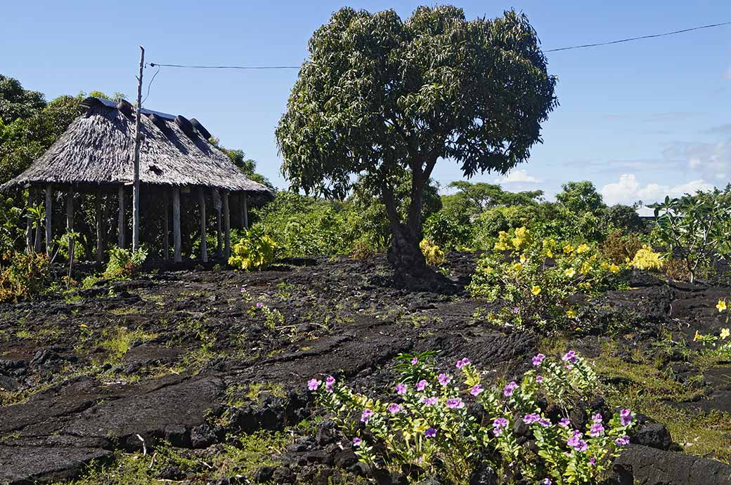 Fale, lava field