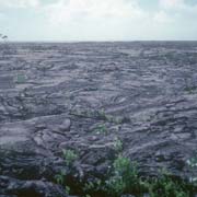 Lava field, Sale'aula