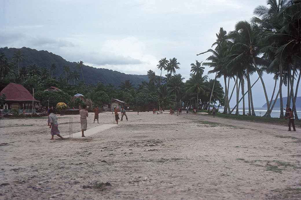 Cricket in Saleapaga