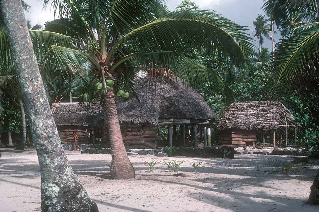 Housing in Falealupo