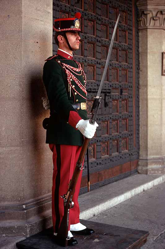 Palace guard