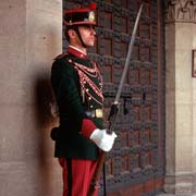 Palace guard