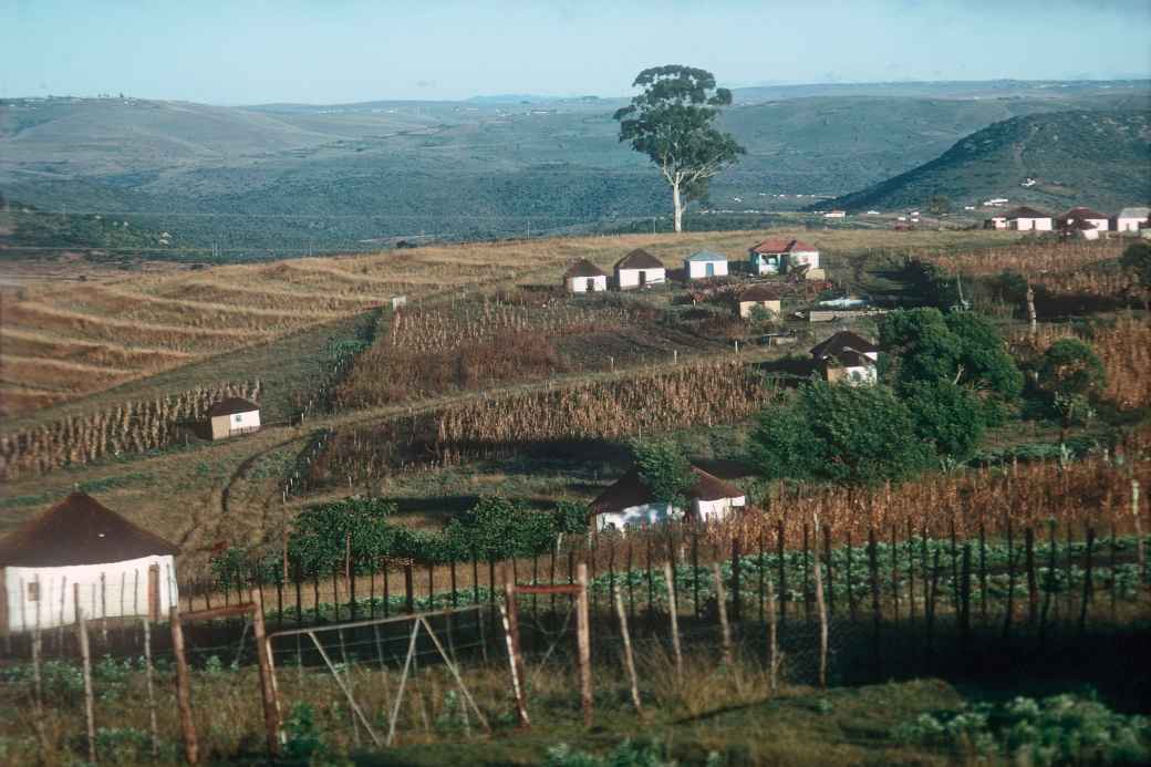 Xhosa farms