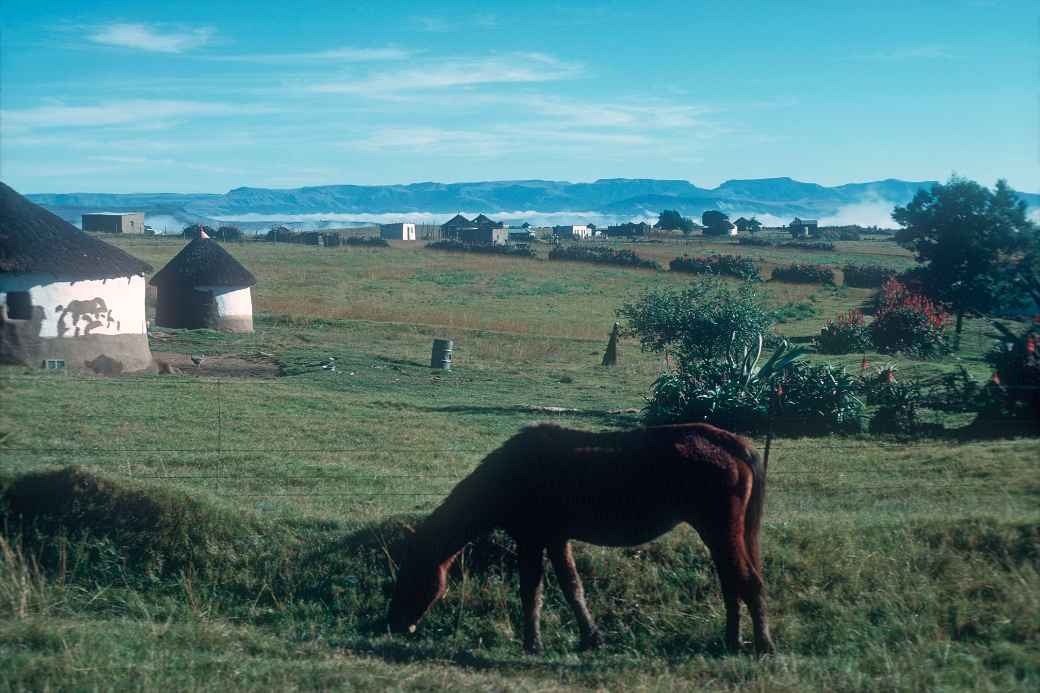 Xhosa farms