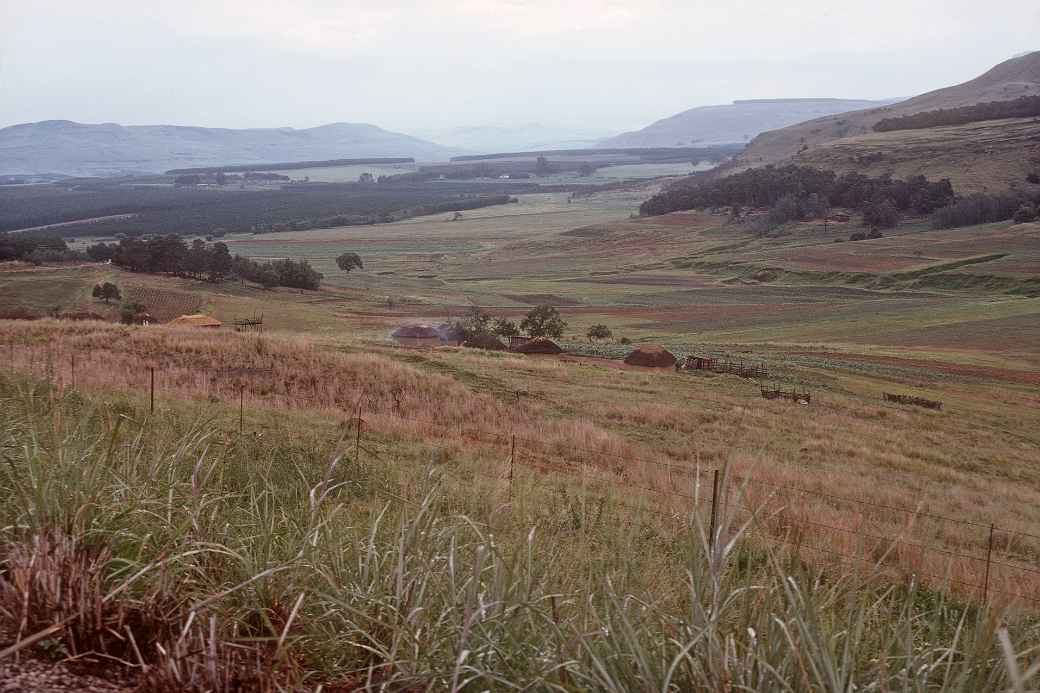 View near Paulpietersburg