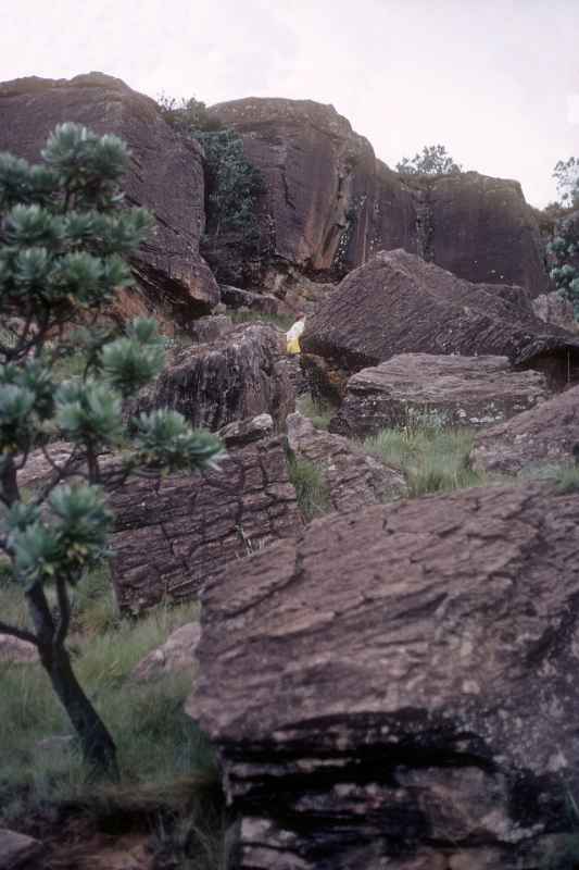 In the Drakensberg mountains