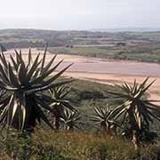 Tugela River from Fort Pearson