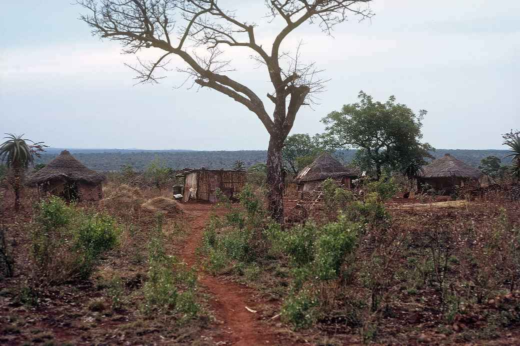 Shangane homestead, Crocodile Bridge