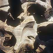 Bourke’s Luck Potholes