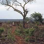 Shangane homestead, Crocodile Bridge